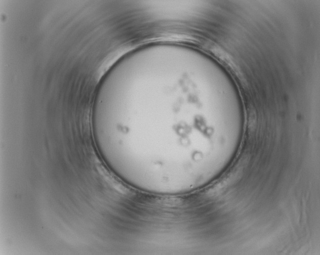 X0000088841417200707051436