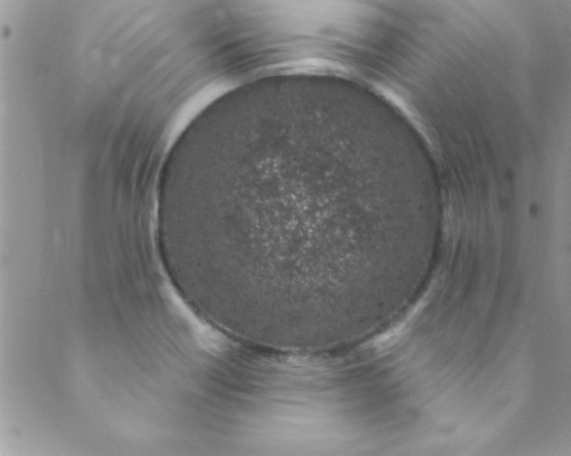 X0000088841418200707051436