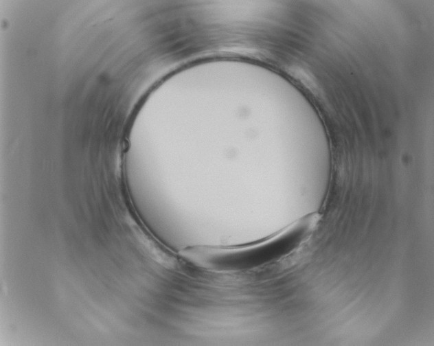 X0000088841420200707051436