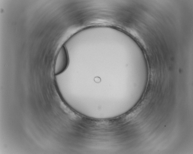 X0000088841421200707051436