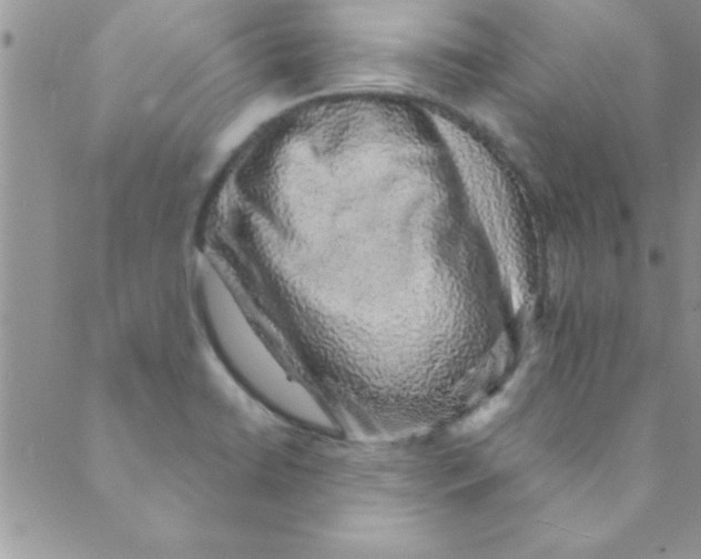 X0000088841422200707051436