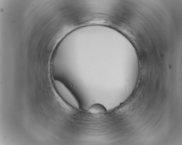 X0000088841423200707051436