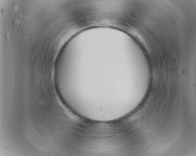 X0000088841424200707051436