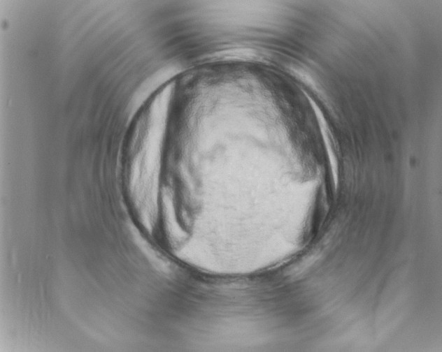 X0000088841426200707051436