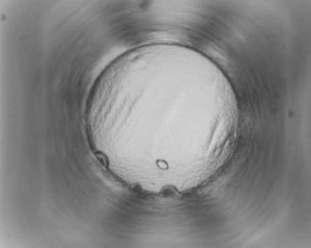 X0000088841427200707051436