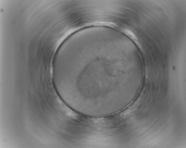 X0000088841428200707051436