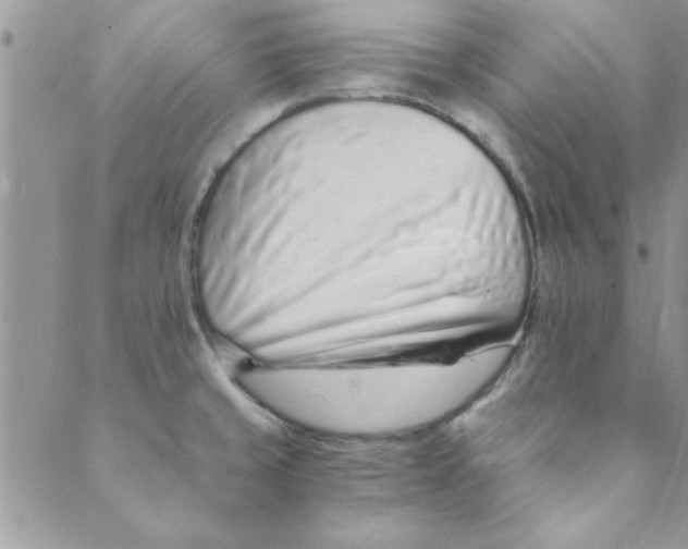 X0000088841429200707051436