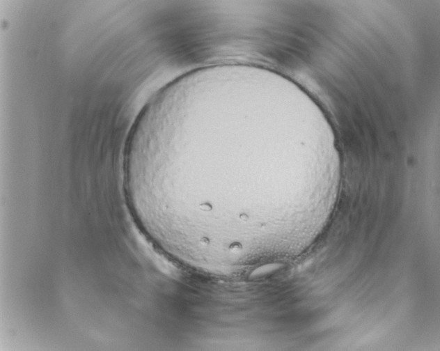 X0000088841431200707051436