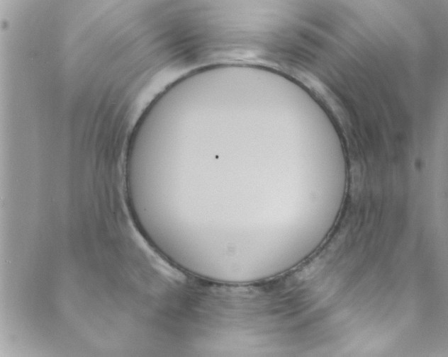 X0000088841432200707051436