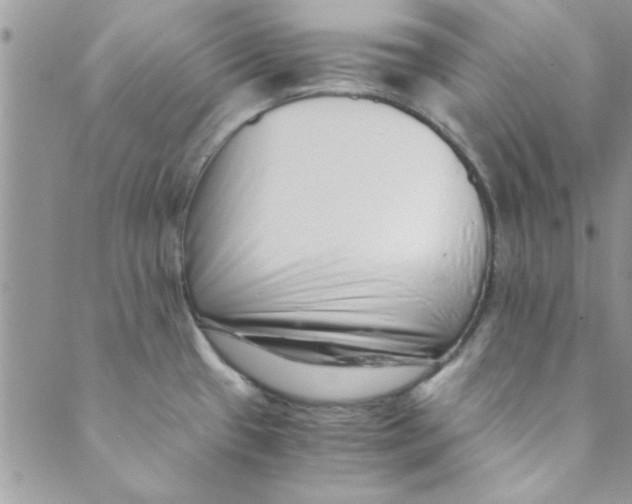 X0000088841433200707051436