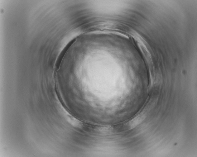 X0000088841434200707051436