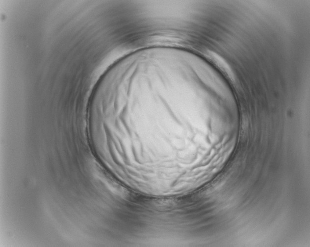 X0000088841435200707051436