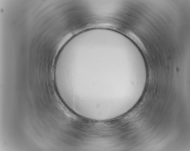 X0000088841436200707051436