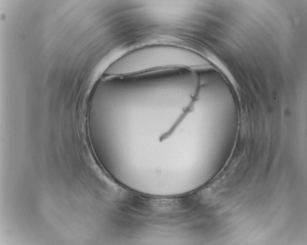 X0000088841437200707051436