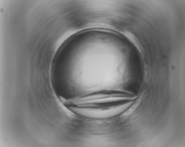 X0000088841438200707051436