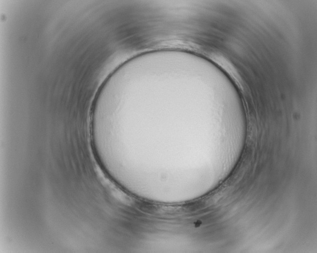 X0000088841439200707051436