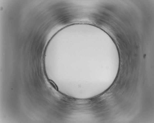 X0000088841440200707051436