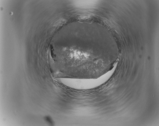 X0000088841441200707051436