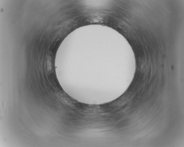 X0000088841442200707051436