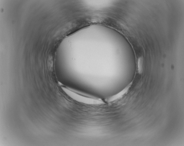 X0000088841443200707051436