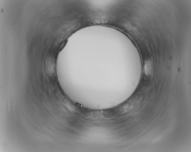 X0000088841444200707051436