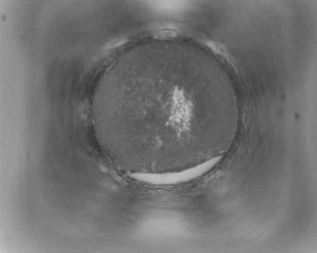 X0000088841445200707051436