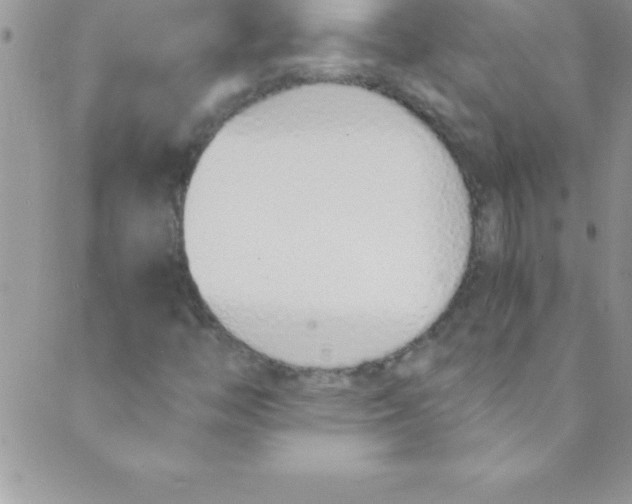 X0000088841446200707051436