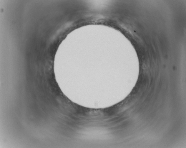 X0000088841447200707051436