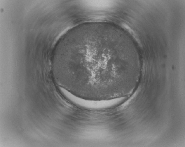 X0000088841449200707051436