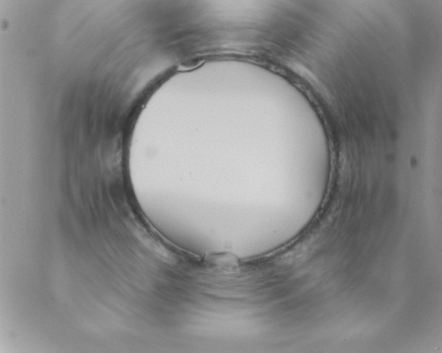 X0000088841450200707051436