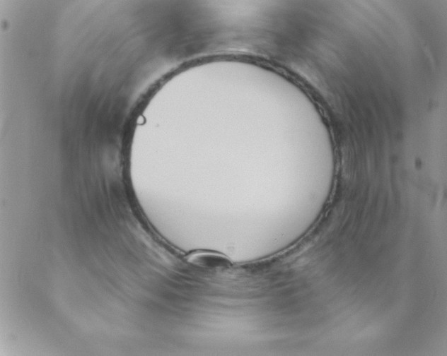 X0000088841452200707051435