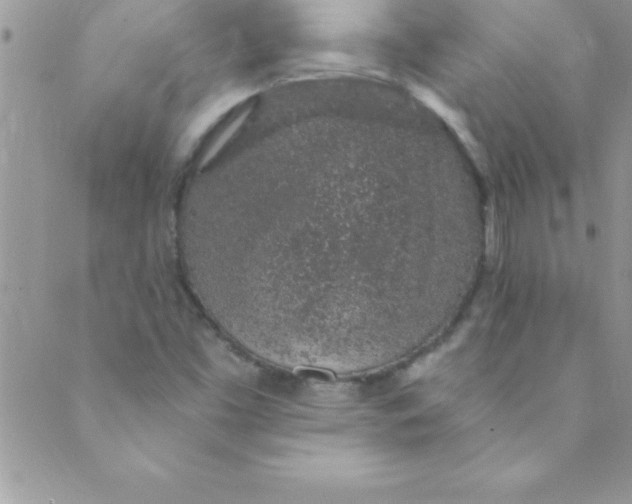 X0000088841453200707051435