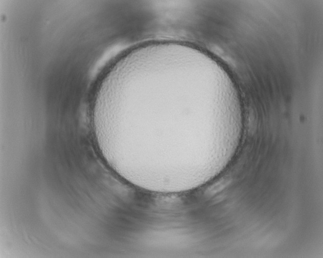 X0000088841454200707051435