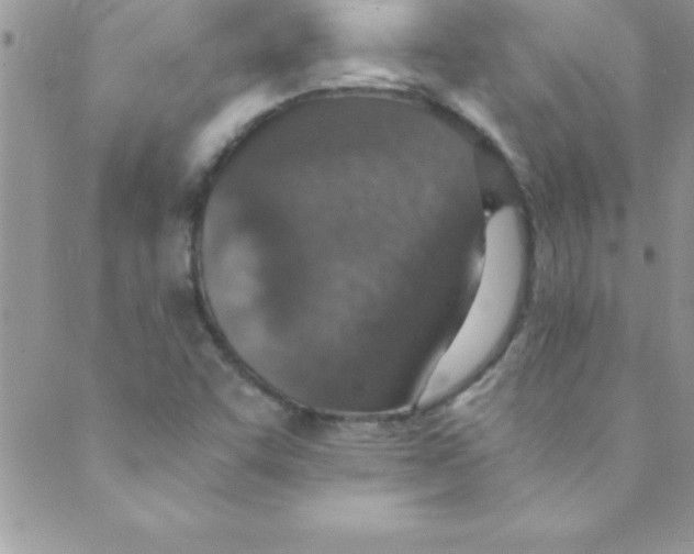 X0000088841455200707051435