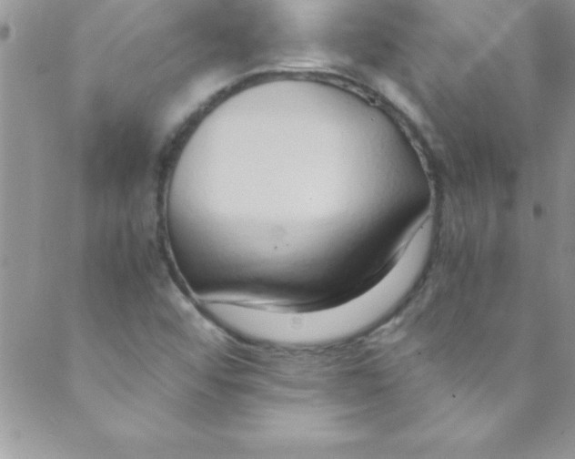 X0000088841456200707051435