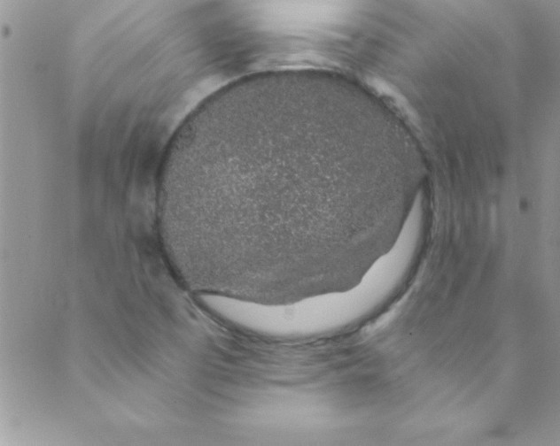 X0000088841457200707051435