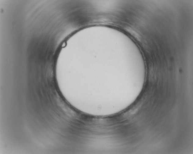 X0000088841458200707051435