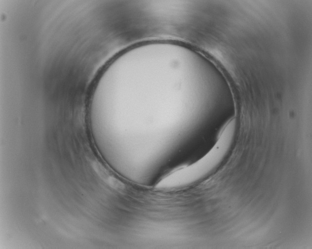 X0000088841460200707051435