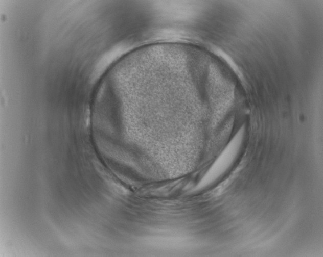 X0000088841461200707051435