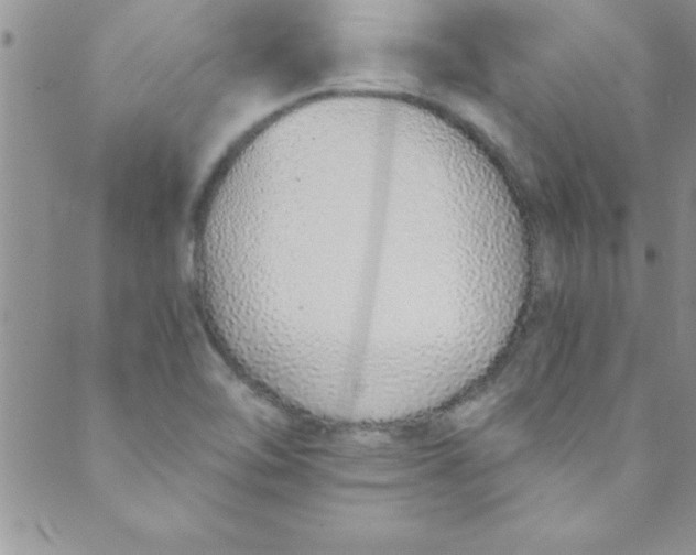 X0000088841462200707051435