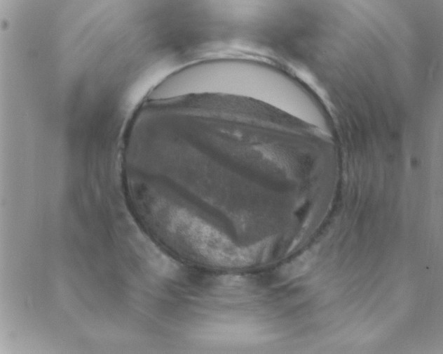 X0000088841463200707051435