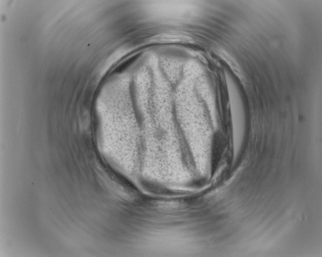 X0000088841465200707051435