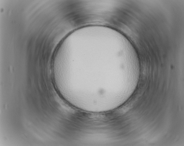 X0000088841466200707051435