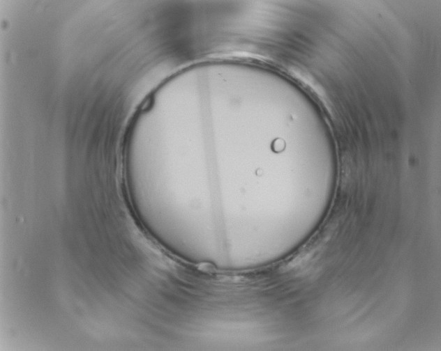 X0000088841467200707051435