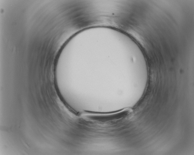 X0000088841468200707051435