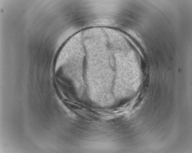 X0000088841469200707051435