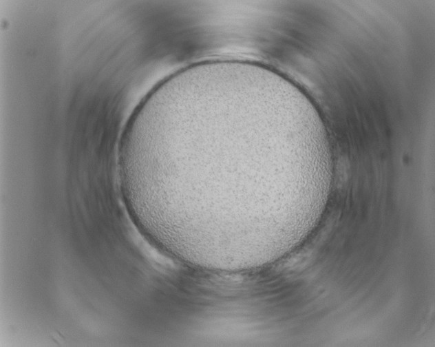 X0000088841470200707051435