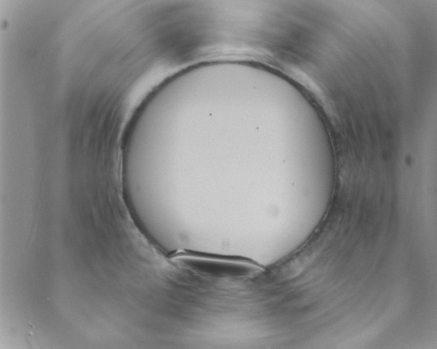 X0000088841472200707051435