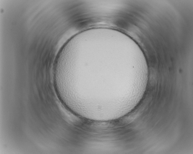 X0000088841474200707051435