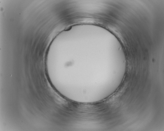 X0000088841475200707051435